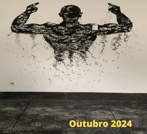 OBRA HITS SANTA CATARINA (10)