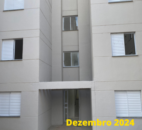 OBRA VIVA SUZANO (1)