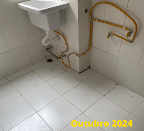 OBRA VIVA SUZANO