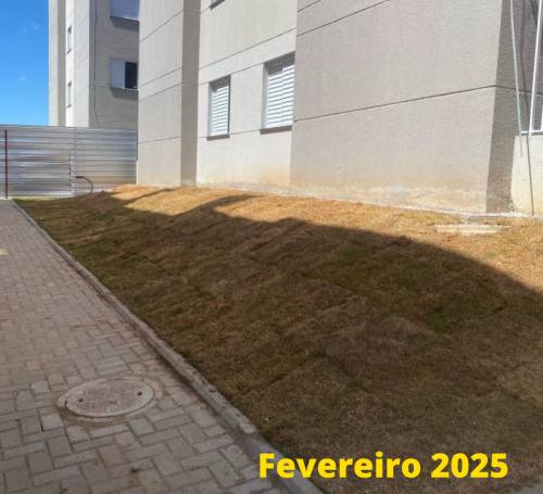 OBRA VIVA SUZANO (2)