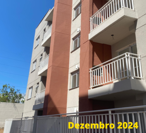 OBRA VIVA SUZANO (3)