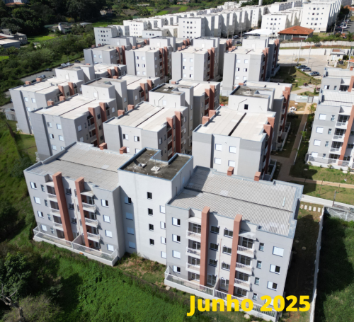 OBRA VIVA SUZANO (3)