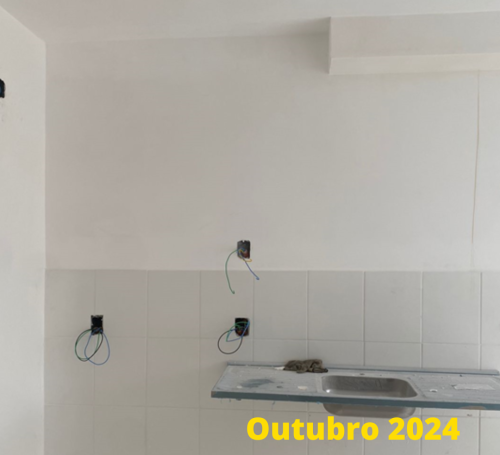OBRA VIVA SUZANO (4)