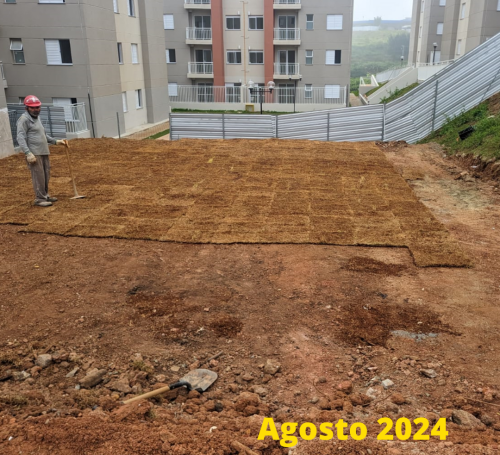 OBRA VIVA SUZANO (5)